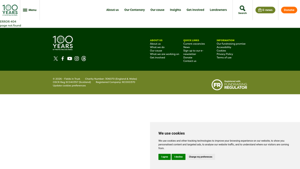 Screenshot of the Synwell Playing Field website
