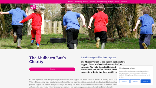 Screenshot of the The Mulberry Bush Organisation Ltd website