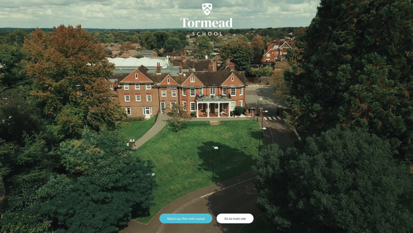 Screenshot of the Tormead Limited website