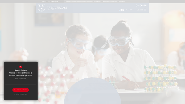 Screenshot of the Prendergast School website