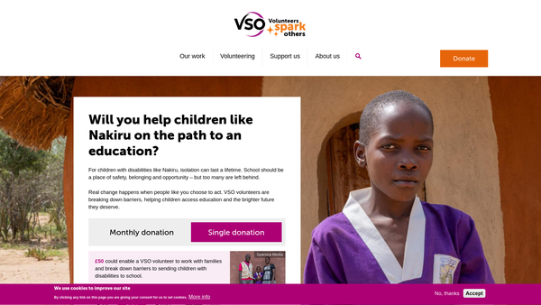 Screenshot of the Vso website