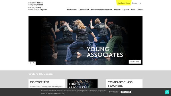 Screenshot of the National Dance Company Wales website