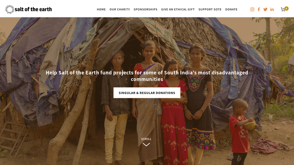 Screenshot of the Salt Of The Earth website