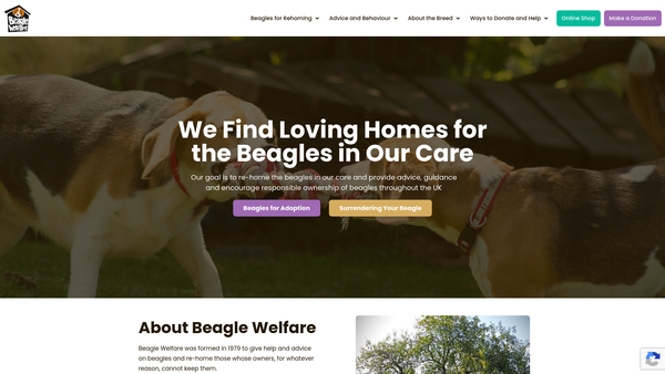 Screenshot of the The Beagle Welfare Scheme website