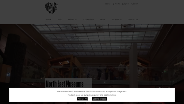 Screenshot of the The Laing Art Gallery website