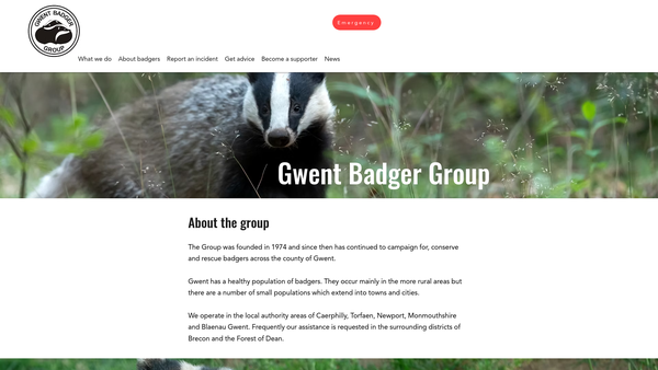 Screenshot of the The Gwent Badger Group website