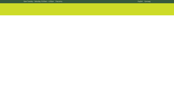 Screenshot of the Mostyn Gallery Limited website