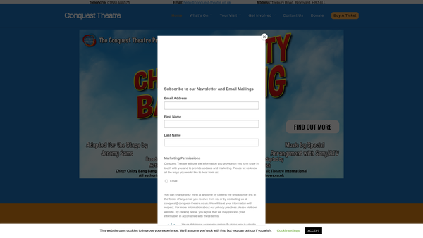 Screenshot of the The Conquest Theatre Trust Limited website