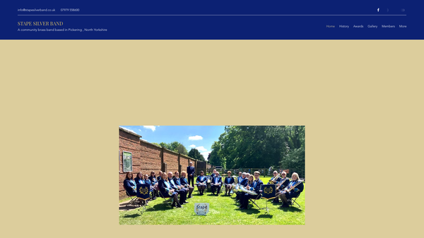 Screenshot of the Stape Silver Band website