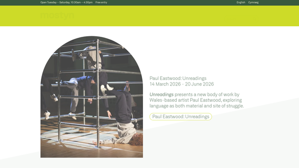 Screenshot of the The Friends Of The Mostyn Art Gallery website