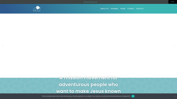 Screenshot of the World Horizons Limited website