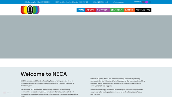 Screenshot of the Neca website