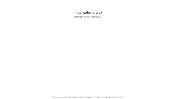 Screenshot of the Mirus - Wales website