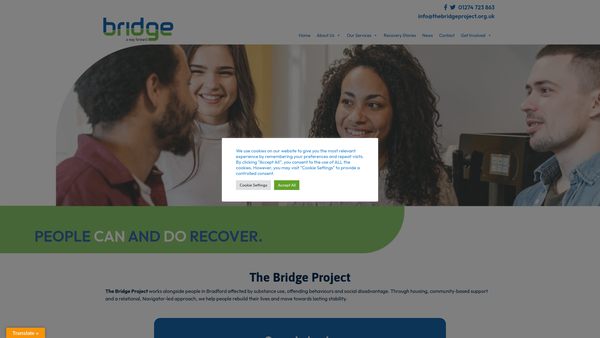 Screenshot of the The Bridge Project website