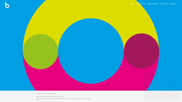 Screenshot of the Y Bont website