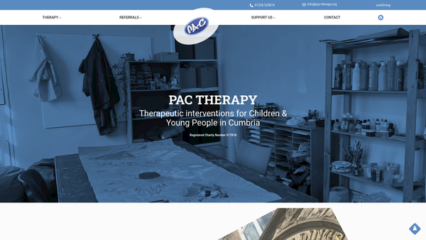 Screenshot of the Promoting Autonomy And Change Limited website