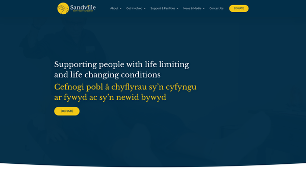 Screenshot of the The Sandville Self Help Foundation website