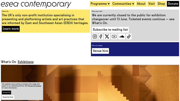 Screenshot of the esea contemporary ltd website