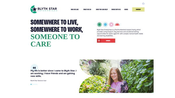 Screenshot of the Blyth Star Enterprises Limited website