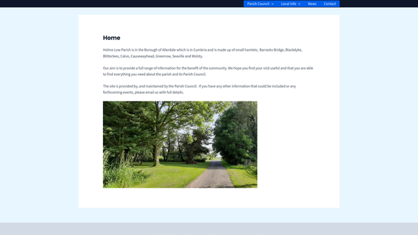 Screenshot of the Colt Park Recreation Field website