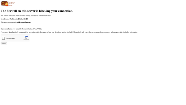 Screenshot of the Carlisle Diocesan Youth Centre website