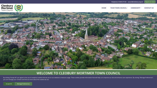 Screenshot of the Playing Field website
