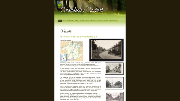 Screenshot of the Institute (Chaddesley) website