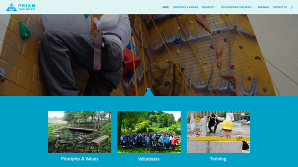 Screenshot of the Prism Youth Project website