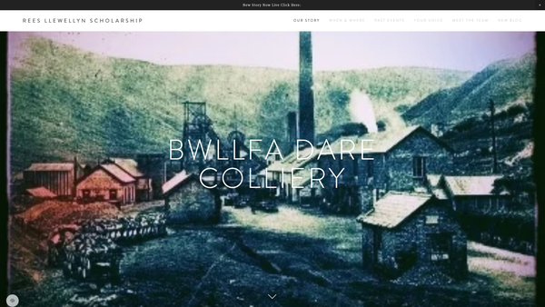 Screenshot of the The Rees Llewellyn Scholarship Fund website