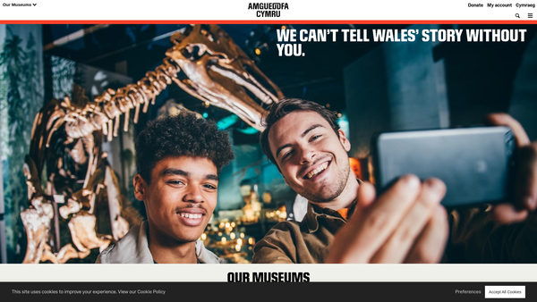 Screenshot of the National Museum Of Wales website