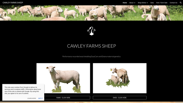 Screenshot of the Rodney's Educational Foundation website
