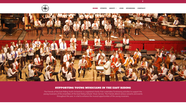 Screenshot of the The Friends Of The East Riding Youth Orchestras website