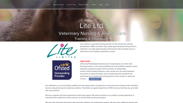 Screenshot of the Lite Limited website