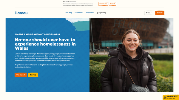 Screenshot of the Llamau Limited website