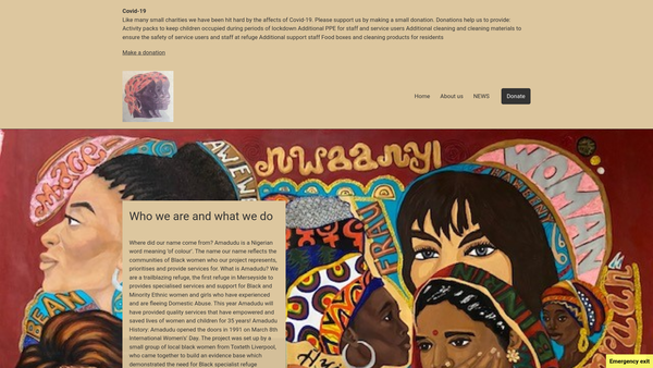 Screenshot of the Amadudu Women's Refuge website