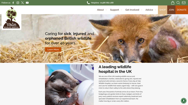 Screenshot of the Vale Wildlife Hospital website