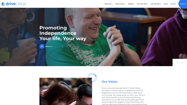 Screenshot of the Drive website