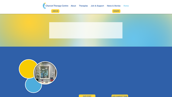 Screenshot of the M S Information And Therapy Centre Ltd website