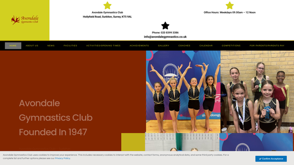 Screenshot of the Avondale Gymnastics Club website
