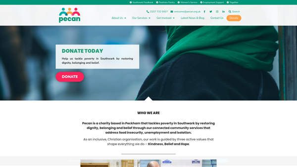 Screenshot of the Pecan website