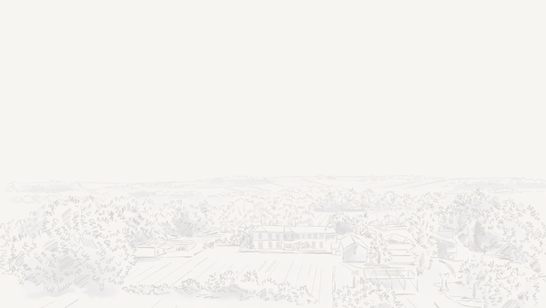 Screenshot of the Cumnor House School Trust website