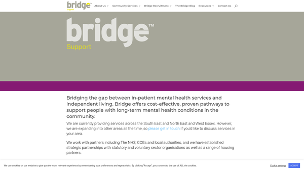 Screenshot of the Bridge 86 Limited website