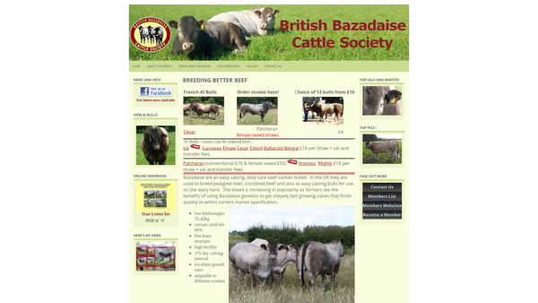 Screenshot of the The British Bazadaise Cattle Society website