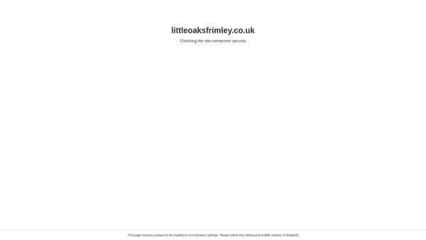 Screenshot of the Little Oaks Pre-School, Frimley website