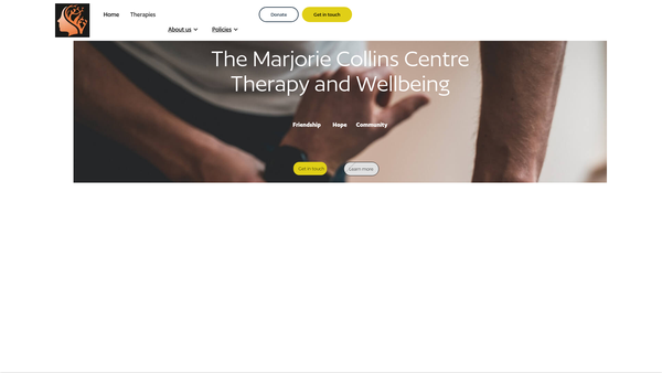 Screenshot of the MS Action Limited website