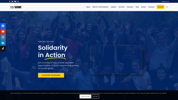 Screenshot of the SERVE In Solidarity Ireland website