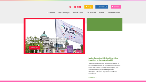 Screenshot of the The Rainbow Project Ltd website