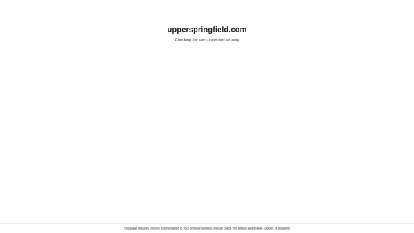 Screenshot of the Upper Springfield Development Trust Ltd website