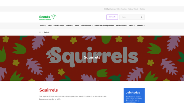 Screenshot of the The Northern Ireland Squirrel Association website