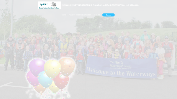 Screenshot of the Spinal Injury Northern Ireland website